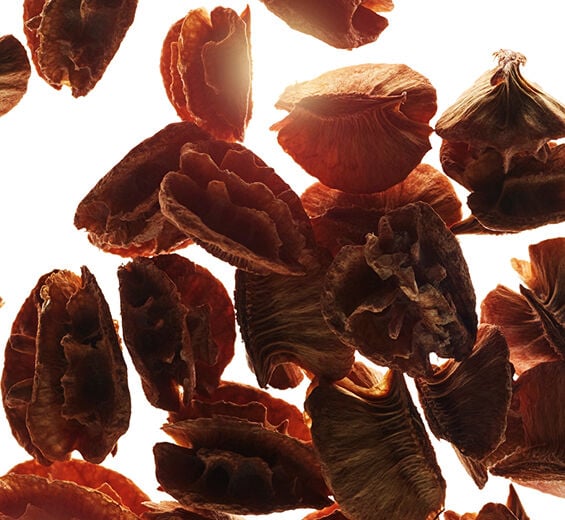Acerola-Acerola Seed extract-Malpighia emarginata (acerola) seed extract