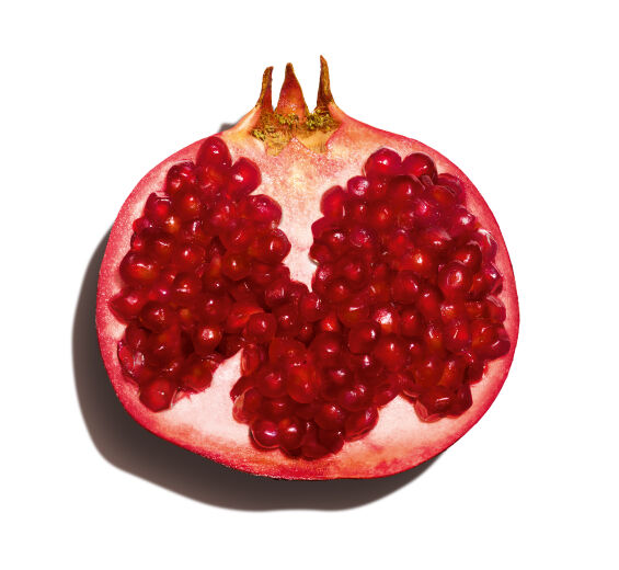 Pomegranate tree-Pomegranate extract (organic plant)-Punica granatum bark extract