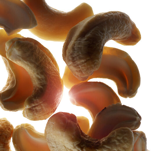 Cashew tree-Organic cashew nut oil-undefined