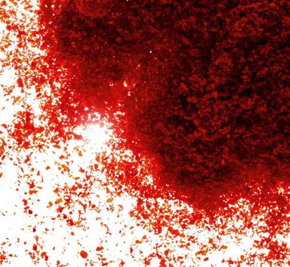 Paprika-Paprika extract-Capsicum annuum fruit extract