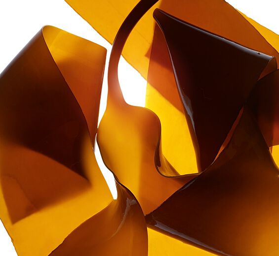 Laminaria-Marine prebiome-Laminaria digitata extract