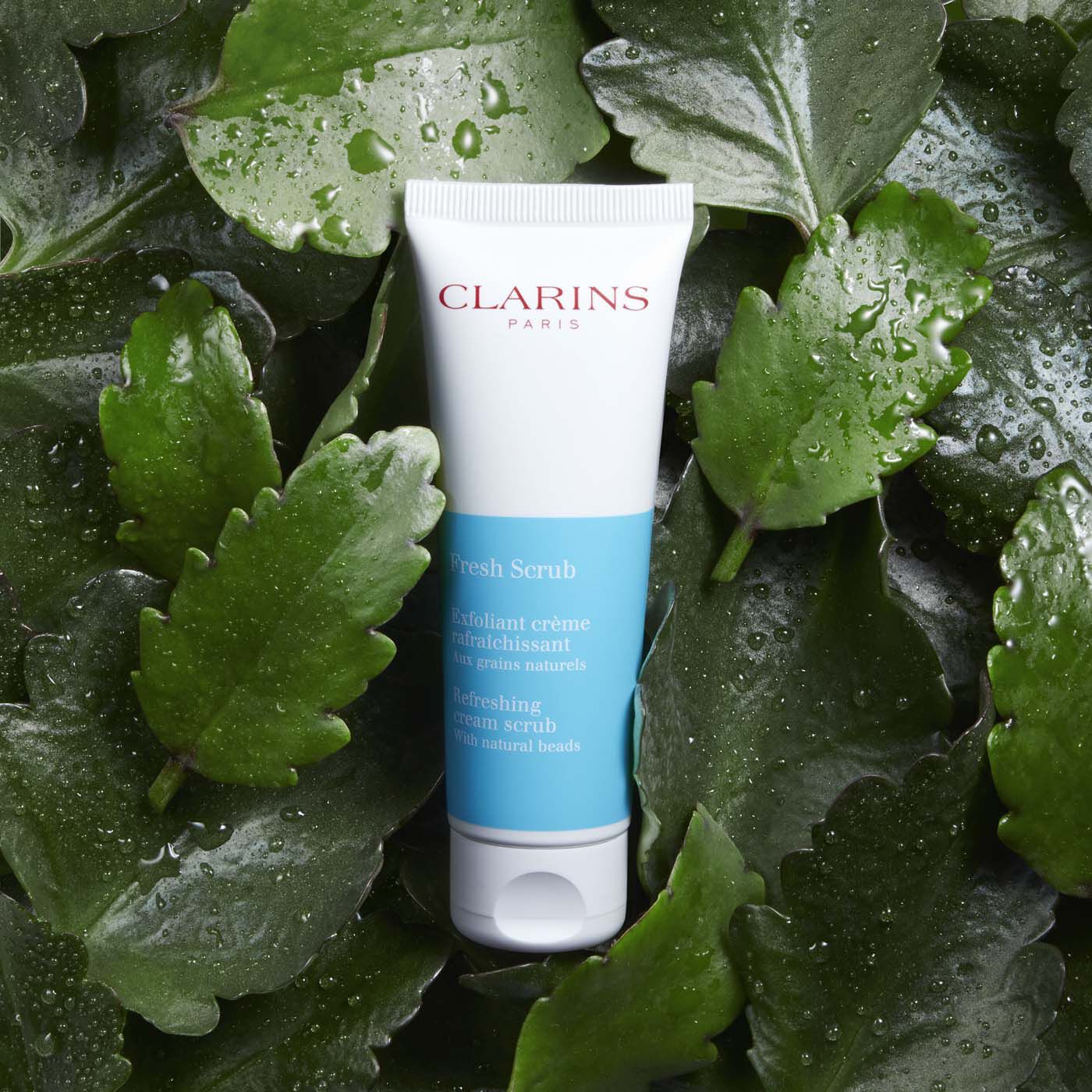 clarins fresh scrub exfoliant