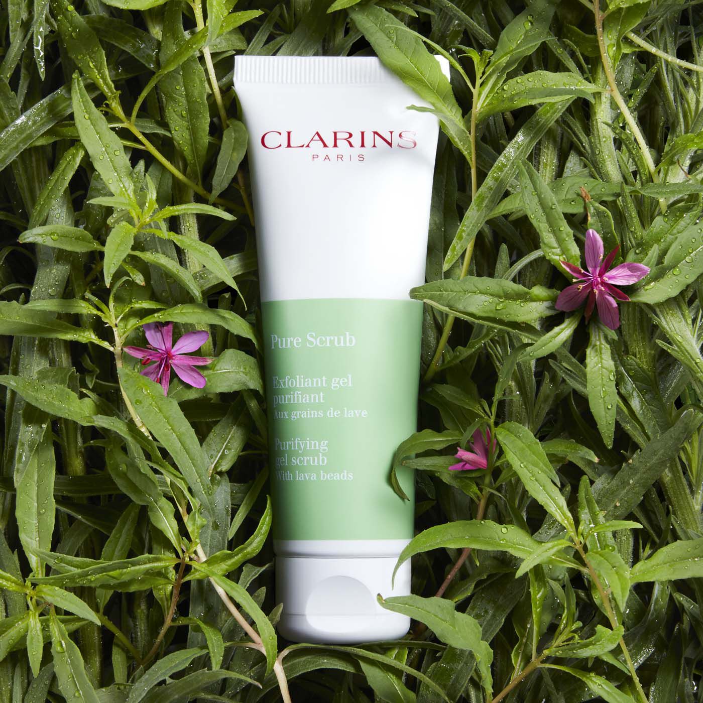 clarins 7 day scrub
