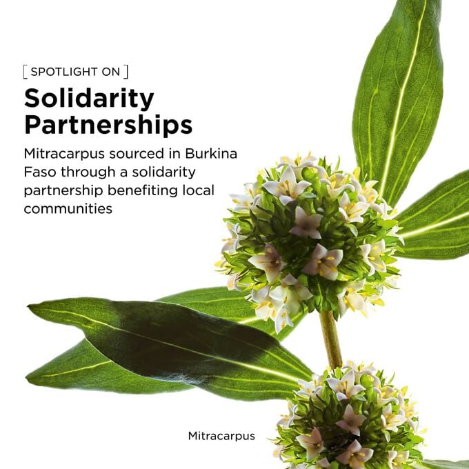 Organic mitracarpus responsibly sourced for this firming ritual to visibly strengthen the skin and improve elasticity.