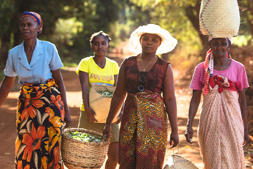 Women carrying bags of plants in Madagascar