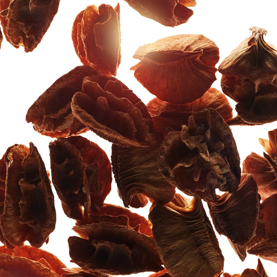 Acerola-Acerola Seed extract-Malpighia emarginata (acerola) seed extract