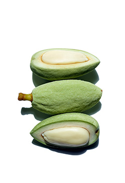 Almond