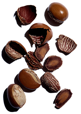 Shea butter