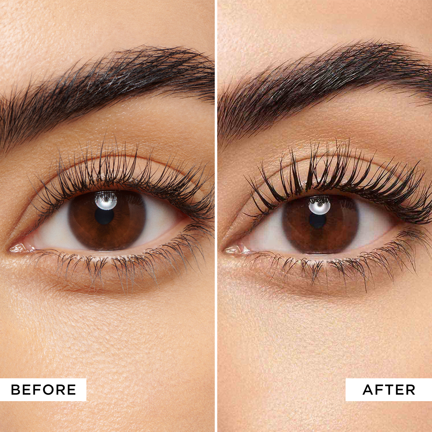 The perfect mascara hotsell