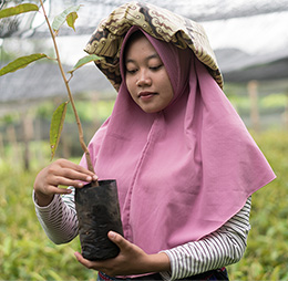 Seeds of beauty (preserve biodiversity) - our values and commitments | Clarins Singapore