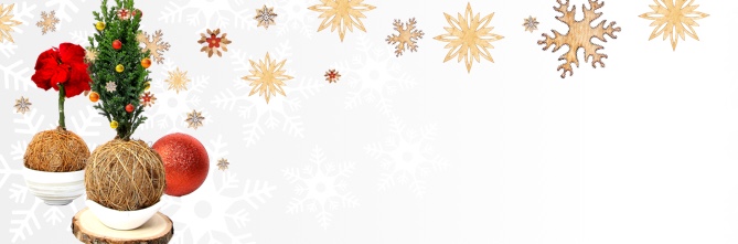 Make A Mini Christmas Tree With Clarins